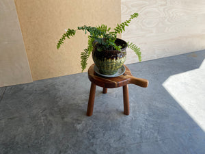 Milk Stool | Foot Stool | Plant Stand | Striped | Walnut